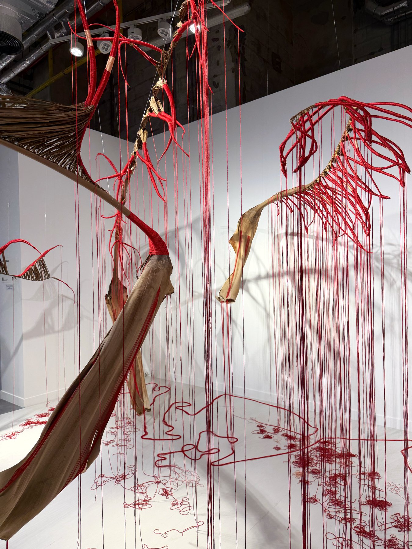 Art Basel Qatar 2026